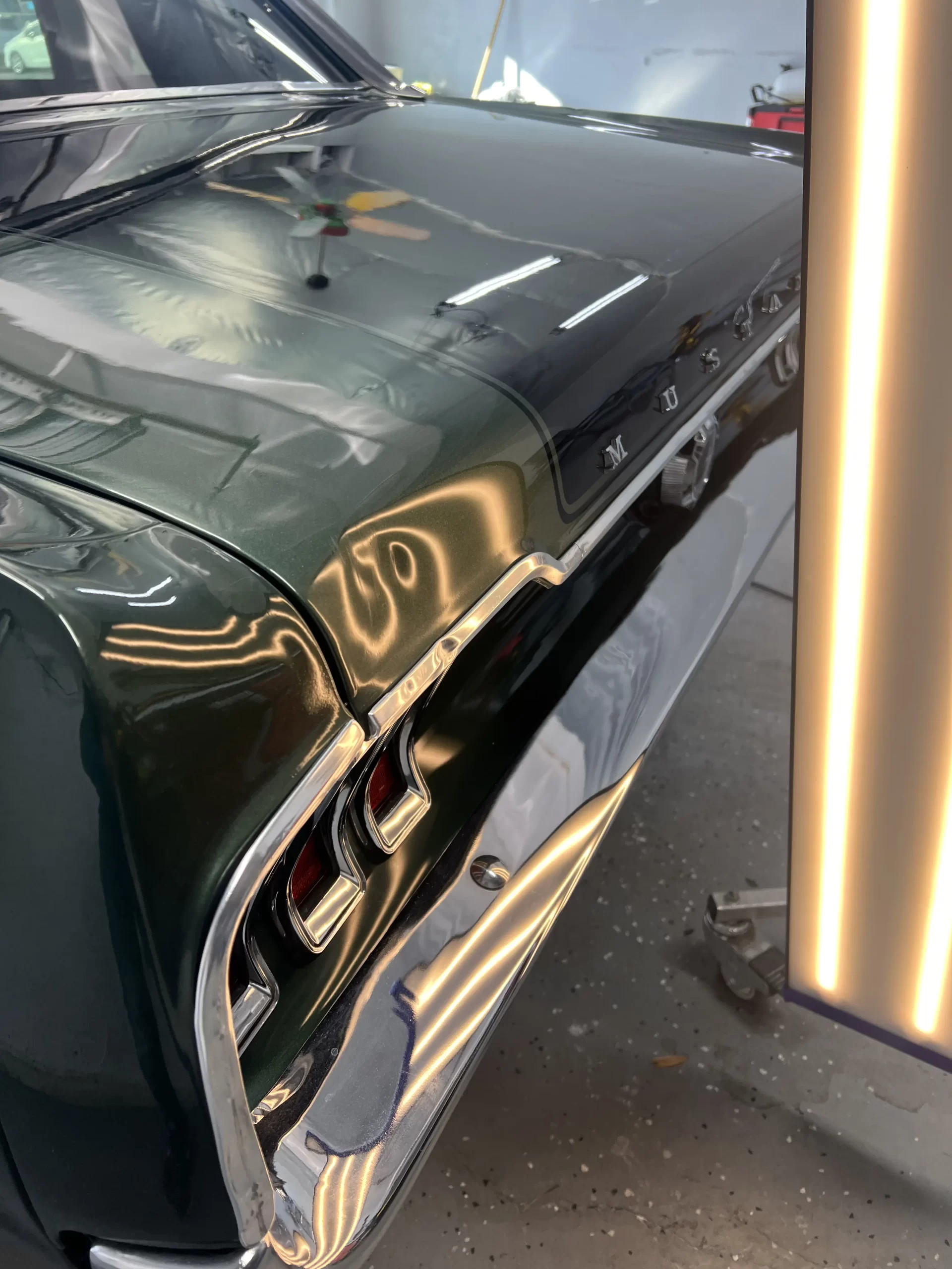 The dented back portion of a Mustang is being lit up for inspection prior to repairs.